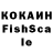 COCAIN Fish Scale Robert Berin