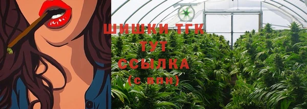 мяу мяу мука Алзамай